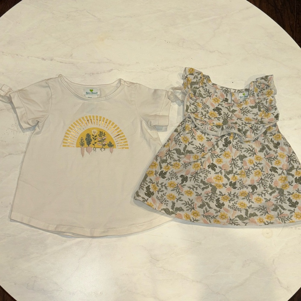 Garanimals Set of Shirts